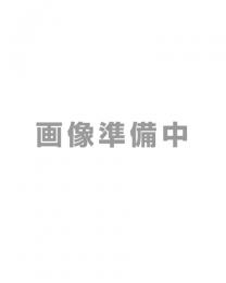 電飾シート(窓ガラス用・室内から屋外向け)