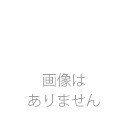 欧米サイズ　色上質 オレンジ最厚　名刺